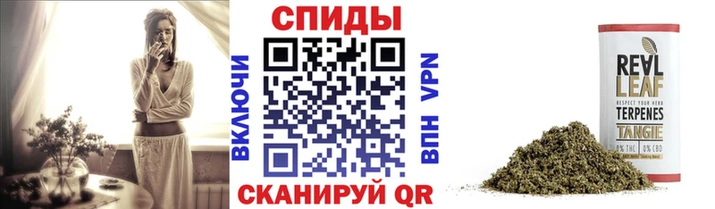 блэк спрут   Цоци-Юрт  БУТИРАТ GHB 