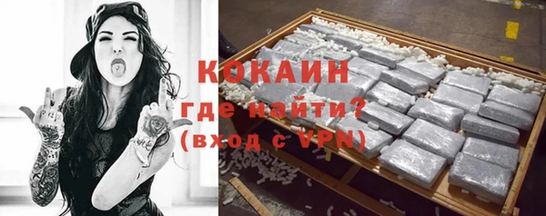 твердый Краснослободск