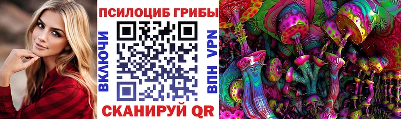Псилоцибиновые грибы ЛСД  купить закладку  Цоци-Юрт 
